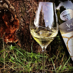 Tristar White Wine Glasses - Set of 2 in a gift box